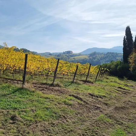 Podere Vecci *