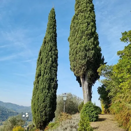 Podere Vecci Apartmán Dicomano