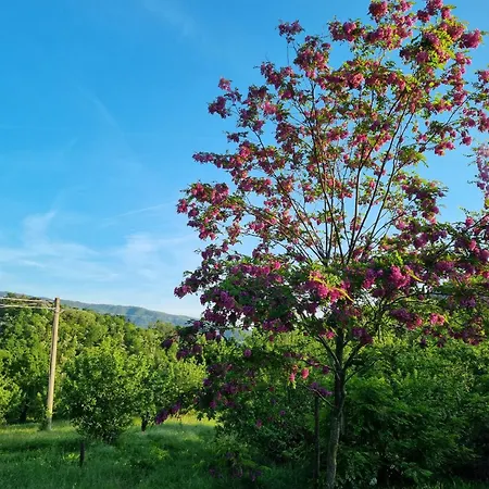 Podere Vecci Apartment