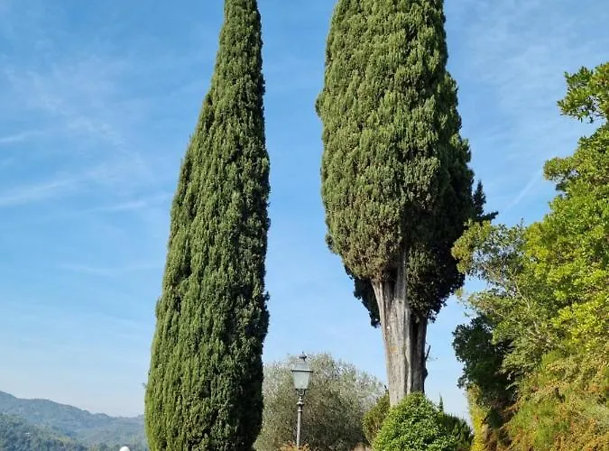 Podere Vecci Appartement Dicomano