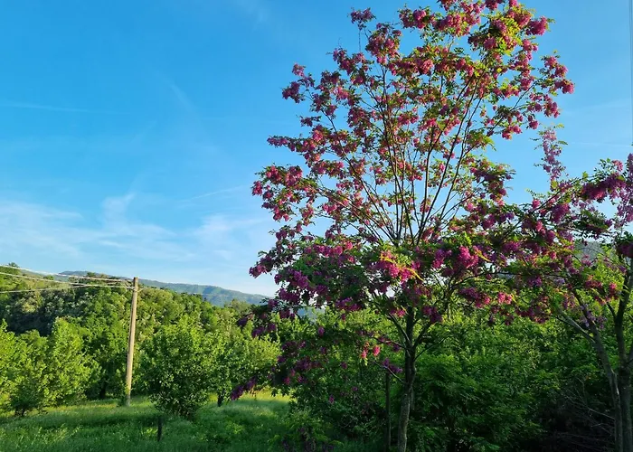 Podere Vecci Appartement